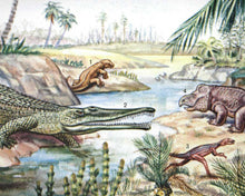 Golden Field Guides: Fossils