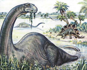 Golden Field Guides: Fossils