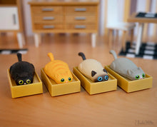 Racing Cat in a Box