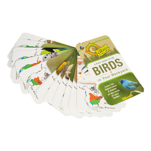 Outdoor Discovery: Little Birder Set