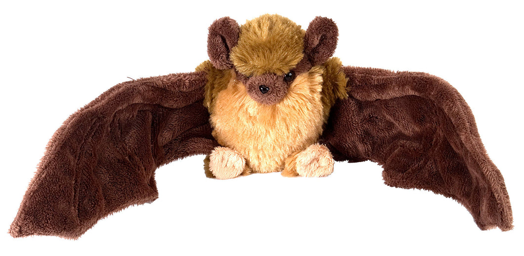 Brown Bat - 8